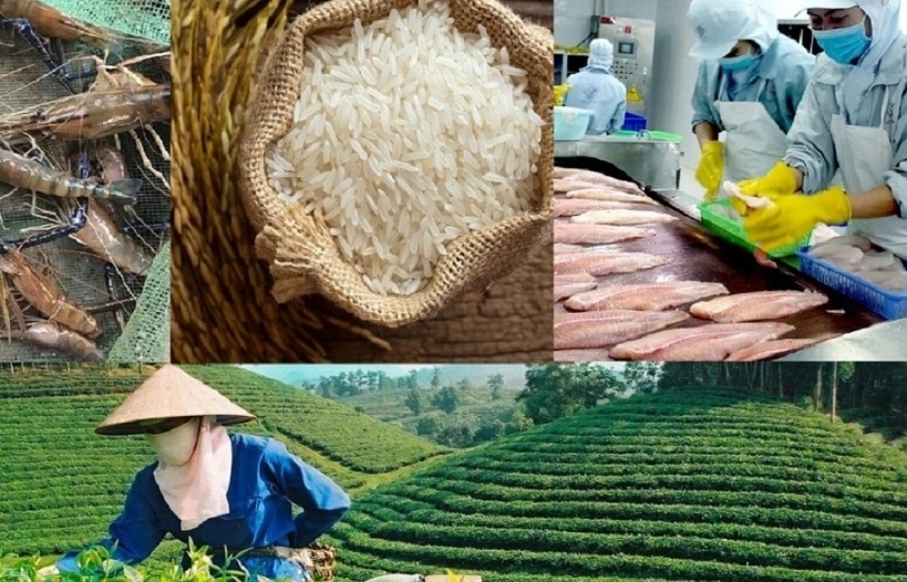 Nông sản Việt Nam: Vững vàng khẳng định vị thế trên thị trường thế giới