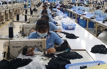 Nghệ An ghi nhận xuất khẩu bứt phá