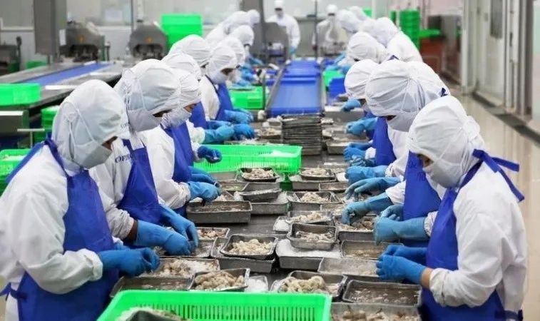 Thủy sản Việt Nam bứt phá mạnh mẽ, khẳng định vị thế xuất khẩu toàn cầu