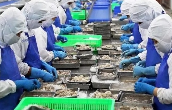 Thủy sản Việt Nam bứt phá mạnh mẽ
