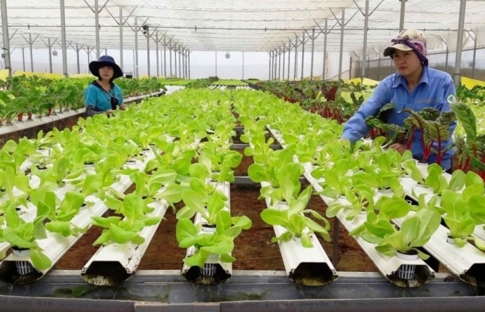 Triển khai nghiêm túc việc miễn, giảm tiền sử dụng đất, tiền thuê đất