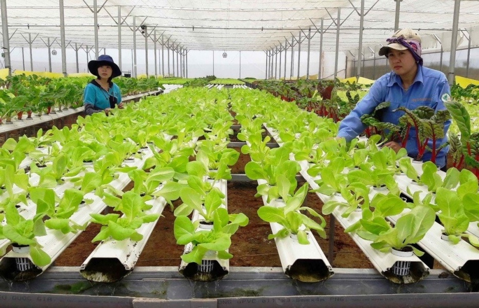 Triển khai nghiêm túc việc miễn, giảm tiền sử dụng đất, tiền thuê đất