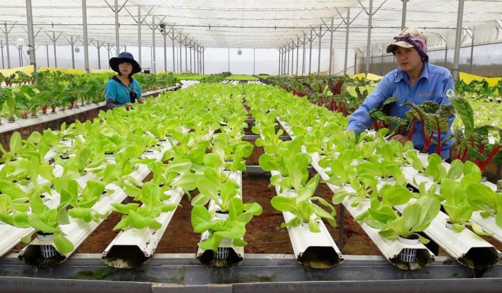 Triển khai nghiêm túc việc miễn, giảm tiền sử dụng đất, tiền thuê đất
