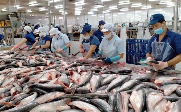 Cá tra Việt Nam chinh phục thị trường Brazil