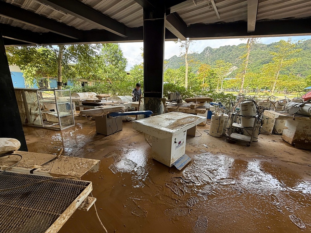 Hải quan Thái Nguyên thăm hỏi, động viên doanh nghiệp khắc phục hậu quả bão lũ