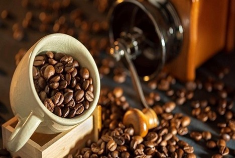 Cà phê Việt Nam giữ giá cao kỷ lục, hướng tới mốc 8 tỷ USD xuất khẩu