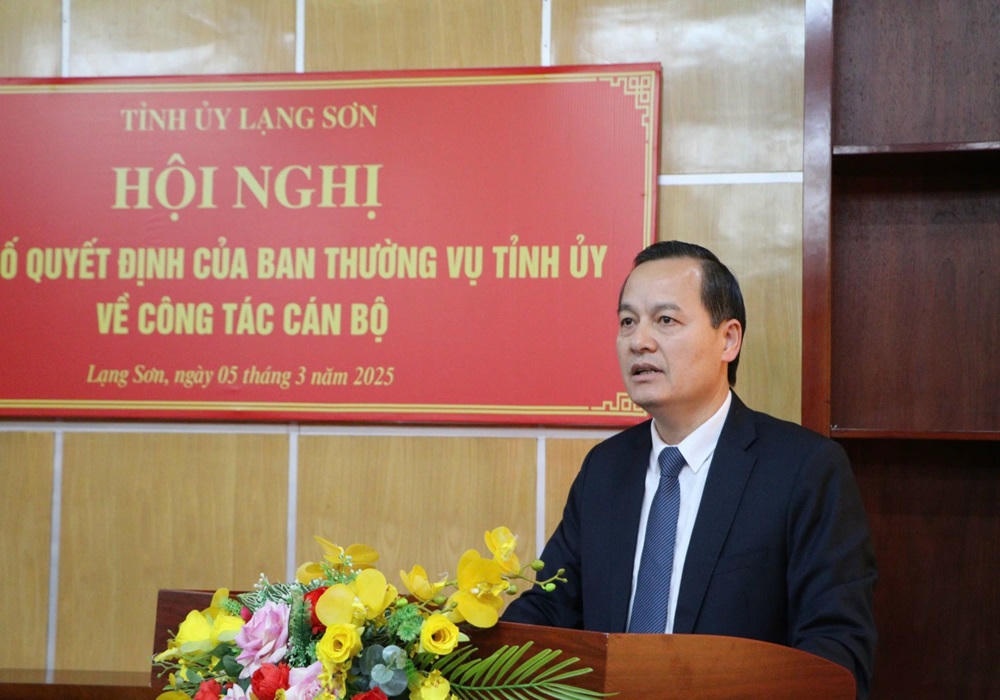 4 cán bộ đã, đang công tác trong ngành Hải quan tham gia cấp ủy tỉnh, thành phố