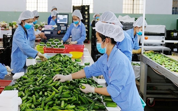 Doanh nghiệp Việt cần bứt phá để đón đầu xu thế kinh tế tuần hoàn