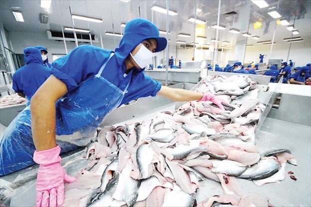 Xuất khẩu cá tra tăng nhờ thị trường CPTPP và sản phẩm chế biến