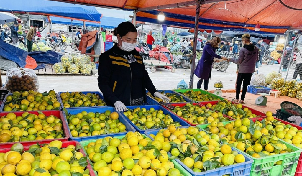 Thuế cơ sở 1 tỉnh Tuyên Quang đồng hành cùng hộ kinh doanh xóa bỏ thuế khoán