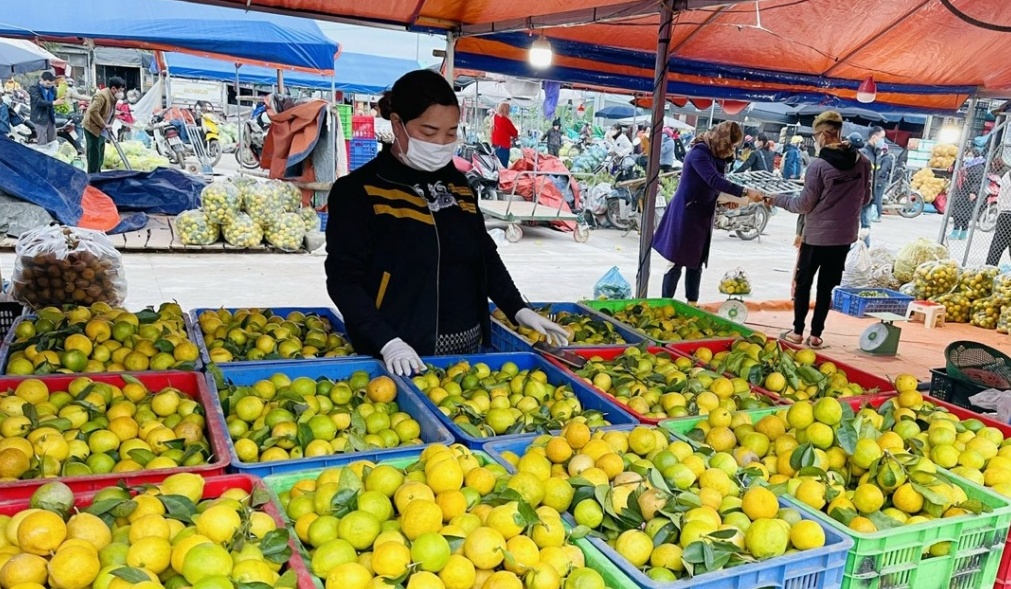 Thuế cơ sở 1 tỉnh Tuyên Quang đồng hành cùng hộ kinh doanh xóa bỏ thuế khoán