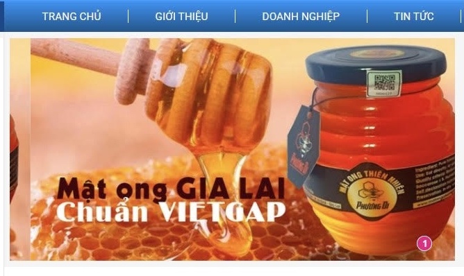 Gia Lai phát triển thương mại điện tử theo hướng liên kết vùng