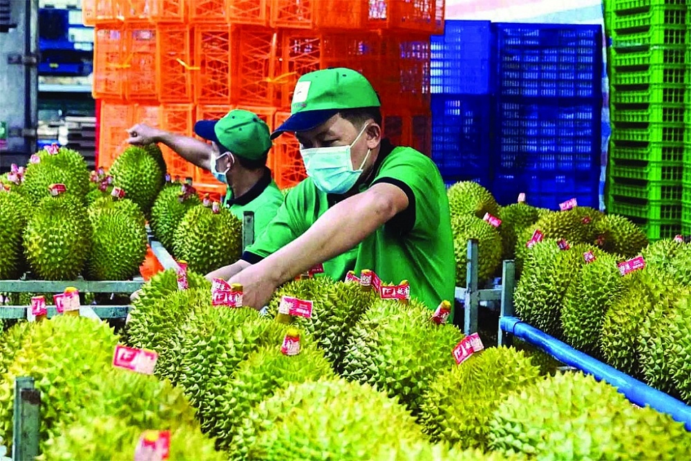 Sắp ra mắt Bản đồ Nông sản Việt