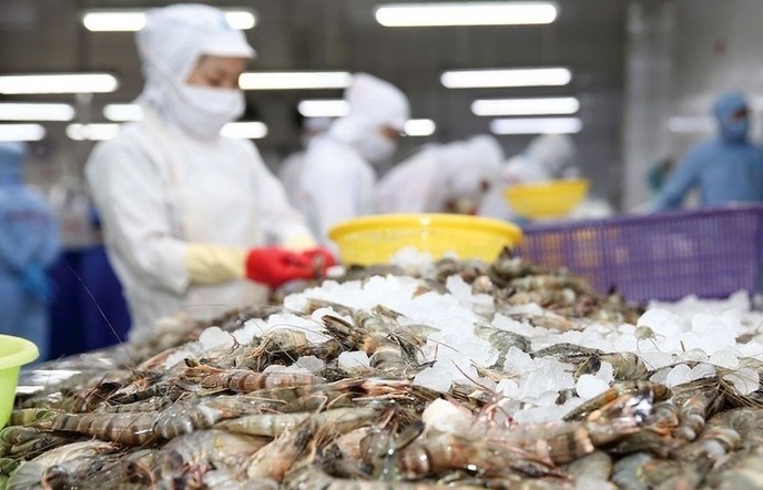Tôm Việt bứt tốc trên thị trường thế giới