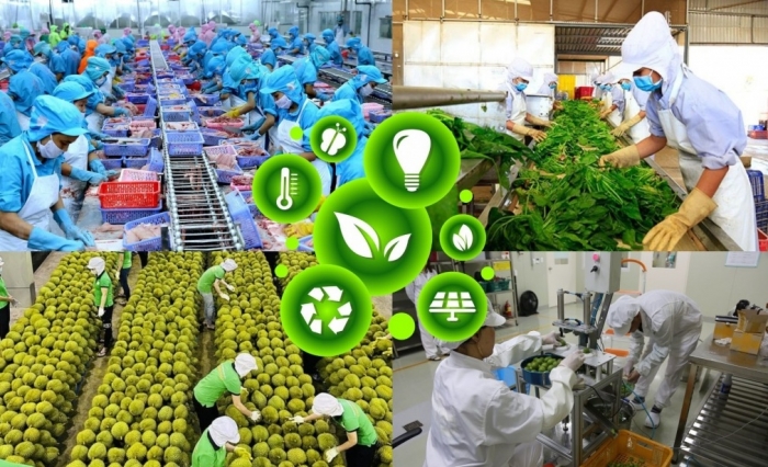 Doanh nghiệp chế biến cần thay đổi để thích nghi với tiêu chuẩn ESG
