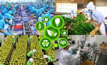 Doanh nghiệp chế biến cần thay đổi để thích nghi với tiêu chuẩn ESG