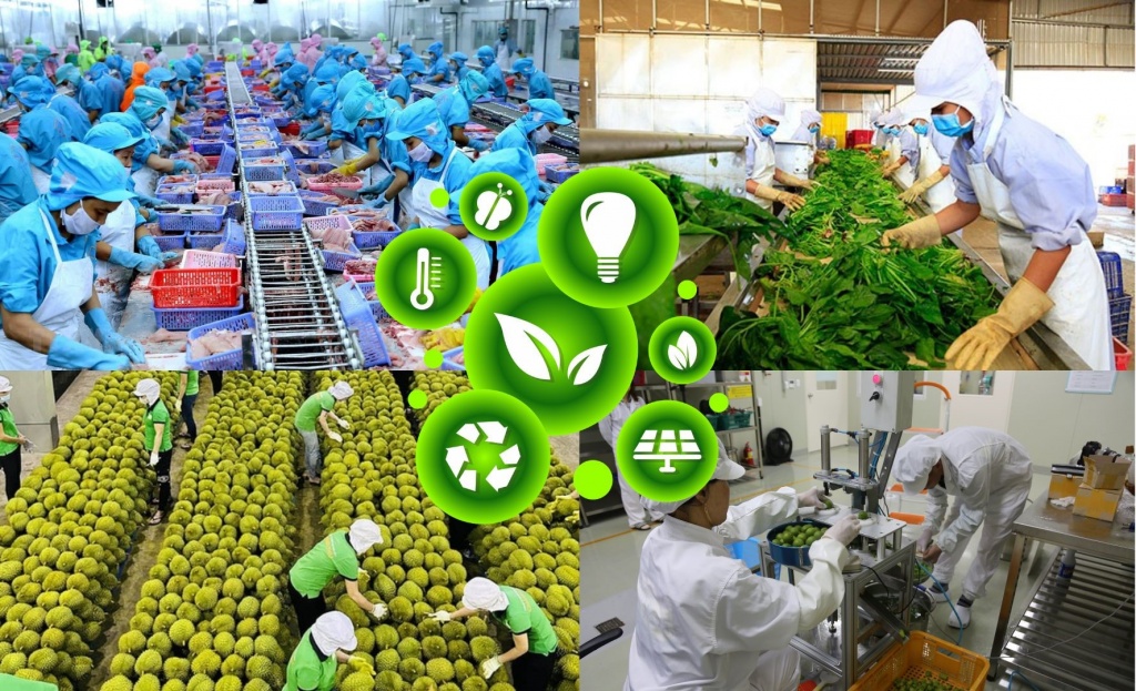 Doanh nghiệp chế biến cần thay đổi để thích nghi với tiêu chuẩn ESG Doanh nghiệp chế biến cần thay đổi để thích nghi với tiêu chuẩn ESG