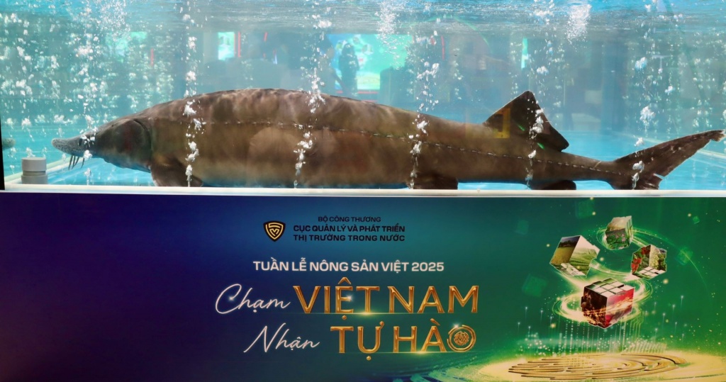 Tôn vinh nông sản Việt - Kết nối thị trường, lan tỏa giá trị vùng miền