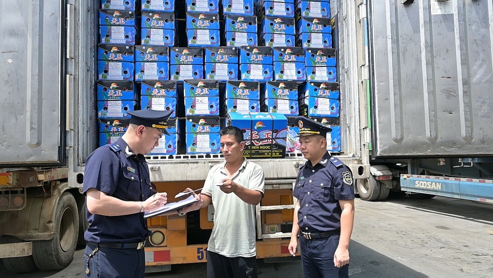 Công chức Hải quan Tân Thanh hỗ trợ DN kiểm tra hồ sơ chứng từ của các lô hàng nông sản tươi XK. Ảnh: H.Nụ