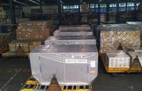 Hải quan sân bay quốc tế Tân Sơn Nhất thông báo tìm chủ hàng tồn đọng tại kho TCS (10/2025)