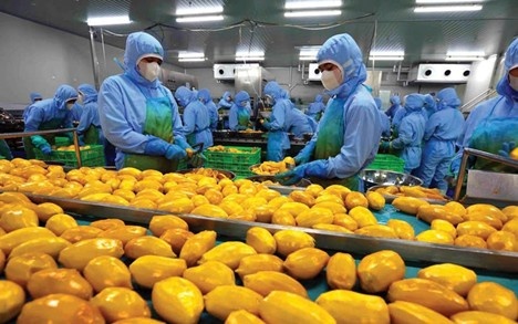 Hiệp định thương mại Việt - Mỹ: Cơ hội vàng mở rộng thị trường xuất khẩu