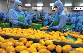 Hiệp định thương mại Việt - Mỹ: Cơ hội vàng mở rộng thị trường xuất khẩu