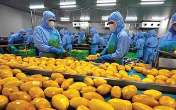 Hiệp định thương mại Việt - Mỹ: Cơ hội vàng mở rộng thị trường xuất khẩu