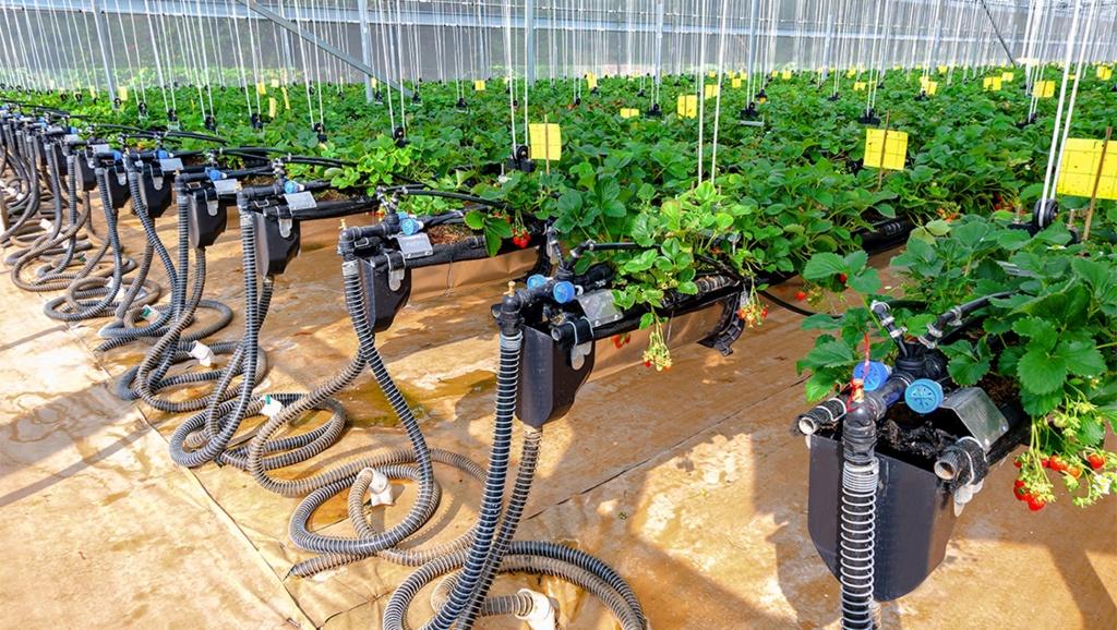 Chuyển đổi số: Đòn bẩy nâng tầm khu vực kinh tế hợp tác