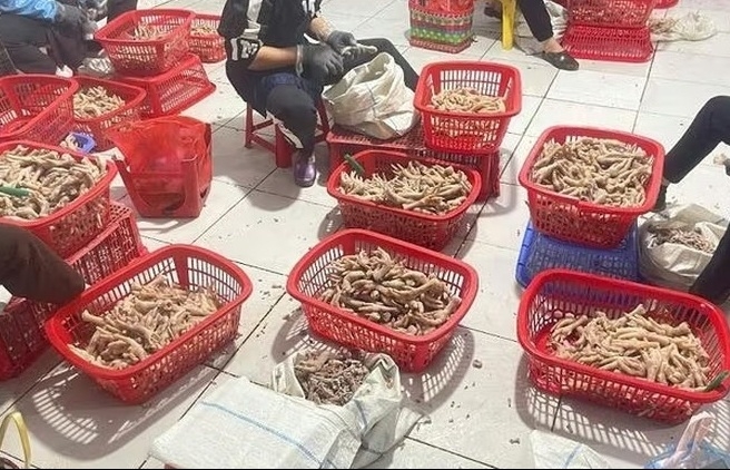 Lạng Sơn phát hiện 3,5 tấn chân gà không rõ nguồn gốc xuất xứ