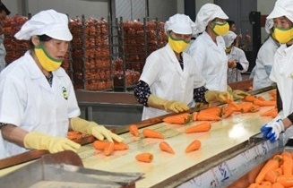 Rau quả Việt tăng tốc, hướng mốc 10 tỷ USD xuất khẩu
