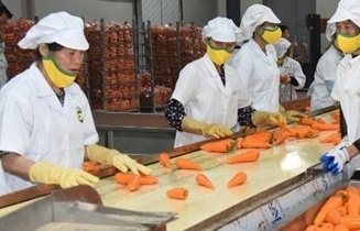 Rau quả Việt tăng tốc, hướng mốc 10 tỷ USD xuất khẩu