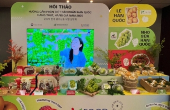 Hợp tác chống hàng giả, bảo vệ quyền sở hữu trí tuệ