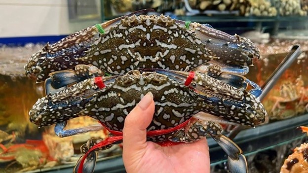 Tín hiệu lạc quan cho thủy sản Việt Nam từ thị trường Hoa Kỳ