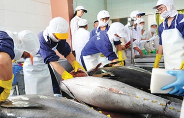 Tín hiệu lạc quan cho thủy sản Việt Nam từ thị trường Hoa Kỳ