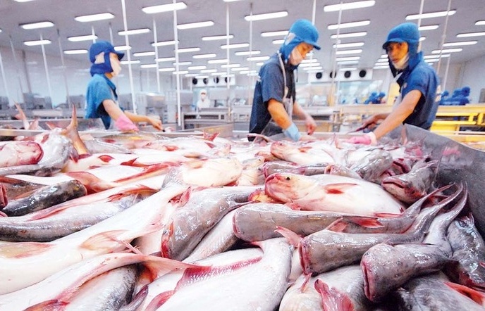 Thị trường Nhật Bản mở rộng nhu cầu với cá tra Việt Nam