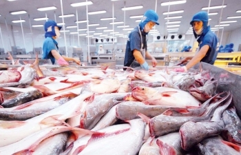 Thị trường Nhật Bản mở rộng nhu cầu với cá tra Việt Nam