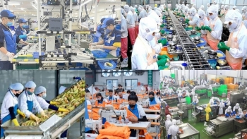 Sức sống mới cho nền kinh tế khi doanh nghiệp quay trở lại