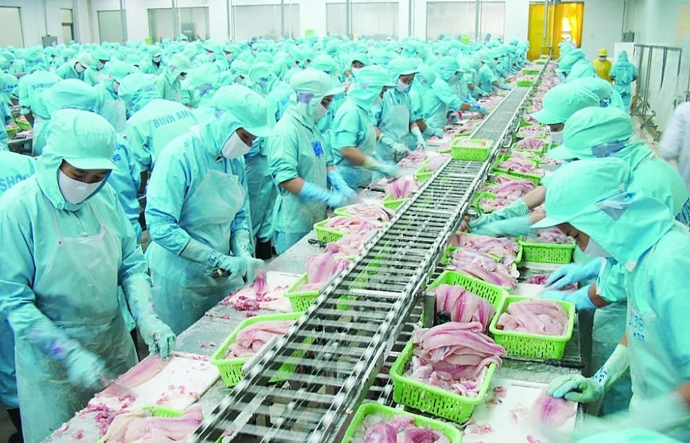 Doanh nghiệp cần đáp ứng các quy định của thị trường EU