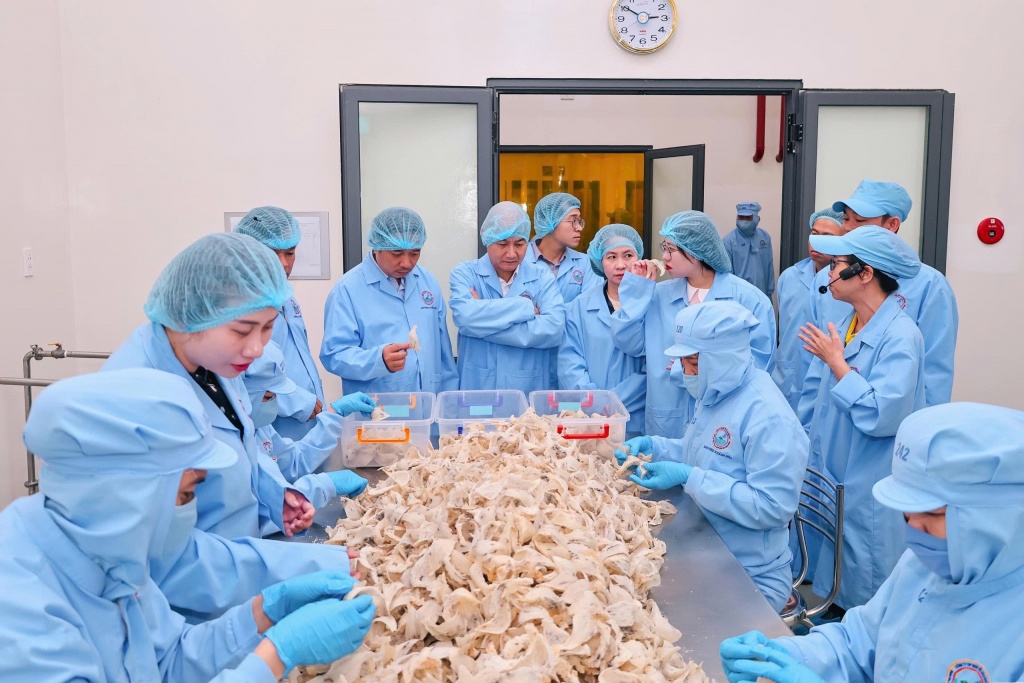 Chế biến yến xuất khẩu tại Khánh Hòa. T.H Chế biến yến xuất khẩu tại Khánh Hòa. T.H