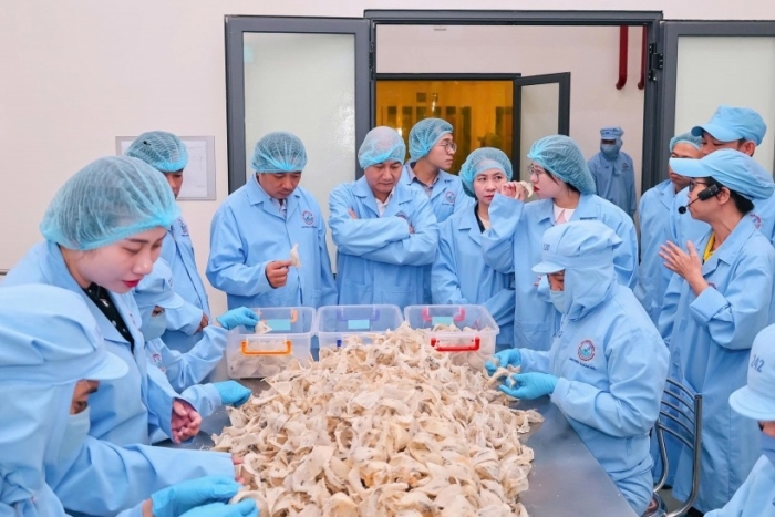 Khánh Hòa: Mở rộng xuất khẩu, khẳng định thương hiệu “Yến sào Việt Nam” trên trường quốc tế