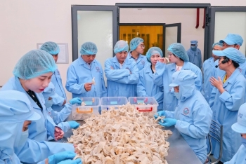 Khánh Hòa: Mở rộng xuất khẩu, khẳng định thương hiệu “Yến sào Việt Nam” trên trường quốc tế