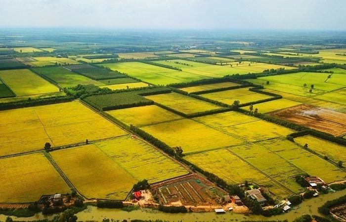 Sẽ ban hành mức kinh phí ủy nhiệm thu thuế đất năm 2025