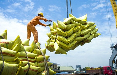 Đa dạng hóa thị trường - Chìa khóa nâng cao giá trị xuất khẩu gạo Việt