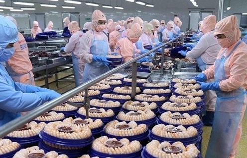 Cơ hội vàng cho nông sản Việt tại thị trường Hoa Kỳ