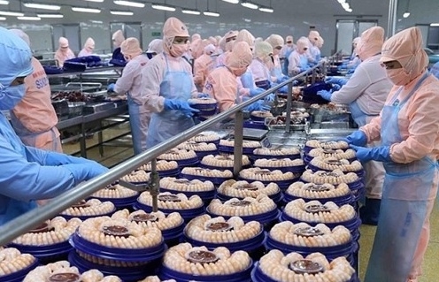 Cơ hội vàng cho nông sản Việt tại thị trường Hoa Kỳ