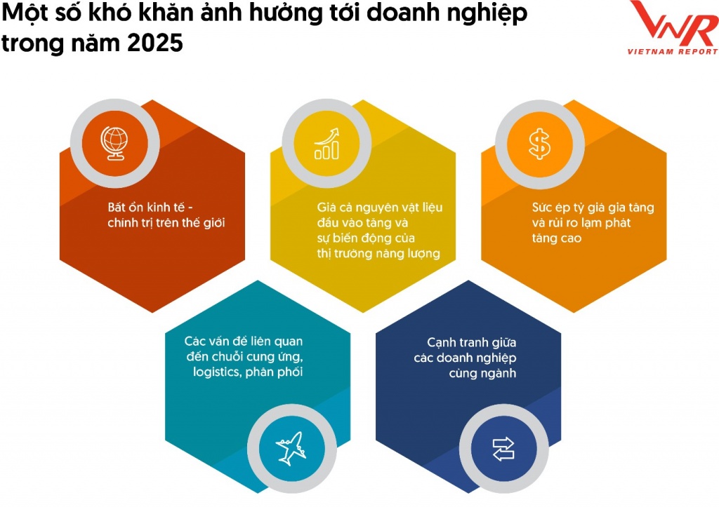 Doanh nghiệp Việt giữ vững vị thế năng động và có sức chống chịu cao Doanh nghiệp Việt giữ vững vị thế năng động và có sức chống chịu cao