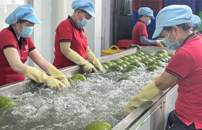 Hoạt động xuất nhập khẩu hướng đến mức kỷ lục mới 900 tỷ USD