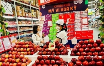 Trung Quốc và Hoa Kỳ dẫn đầu nguồn cung rau quả vào Việt Nam