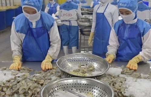 Thủy sản Việt Nam đạt mốc 9,5 tỷ USD sau 10 tháng