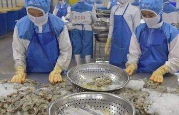 Thủy sản Việt Nam đạt mốc 9,5 tỷ USD sau 10 tháng